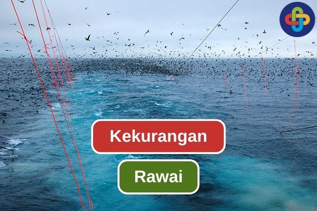 5 Alasan Penggunaan Rawai Perlu Dibatasi dalam Kegiatan Perikanan